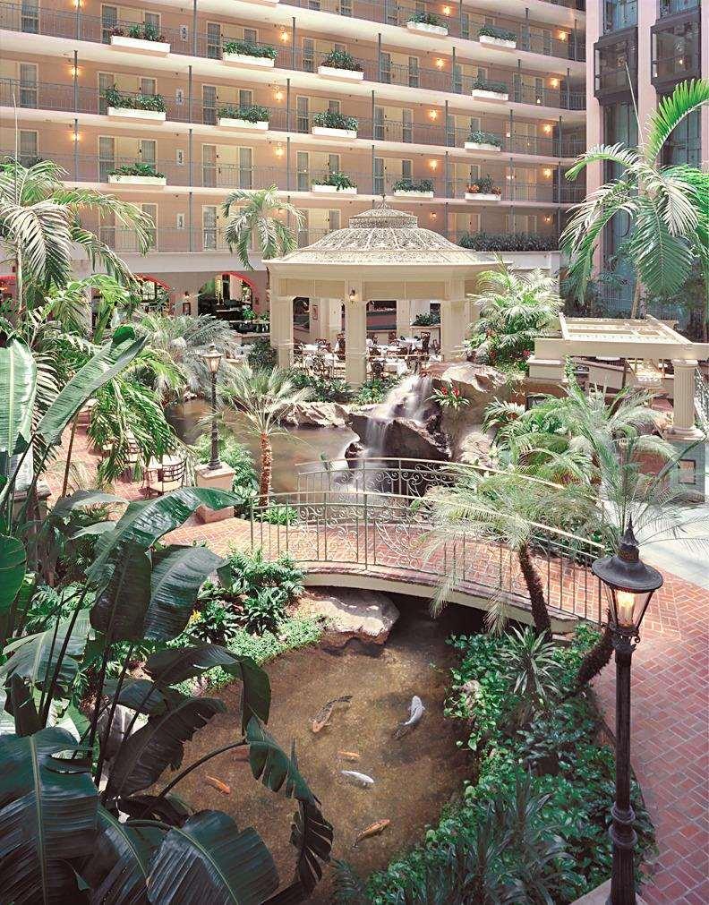 Embassy Suites Dallas - Dfw International Airport South Irving Interiér fotografie